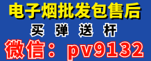 pv9132